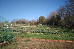 IMG_20161218_122918-scaled