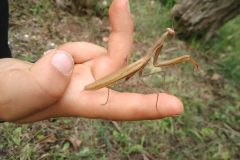 IMG_20170924_125602-scaled