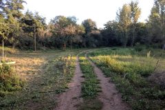 IMG_20180923_181734-scaled