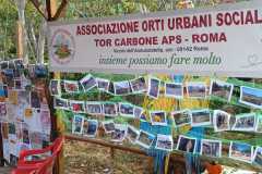 cartelloni